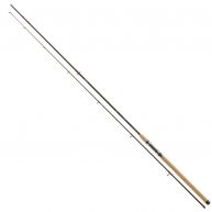Spiningas Daiwa Exceler Seatrout