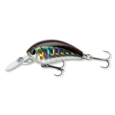Daiwa-BabyCrank