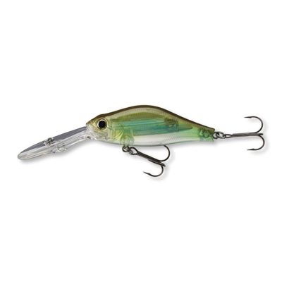 Daiwa-Megascout1064-SeeTrhrgh