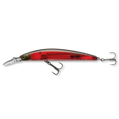 Daiwa-XLSHINER