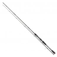 Spiningas Daiwa Ballistic X Jigger '20