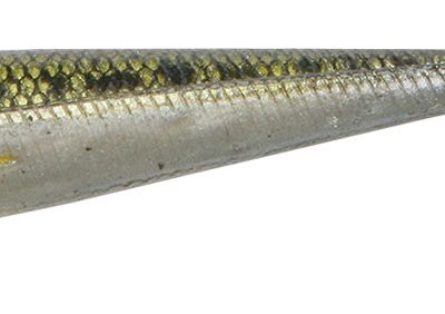 duckfin gudgeon