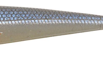 duckfin roach