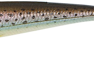 Duckfinshad spotted mullet