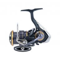 Ritė Daiwa Legalis LT 20'
