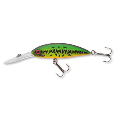 Tournmt-Spike53SP