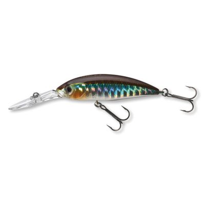 Tournmt-Spike53SP