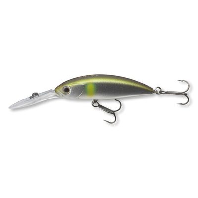Tournmt-Spike53SP