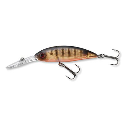 Tournmt-Spike53SP