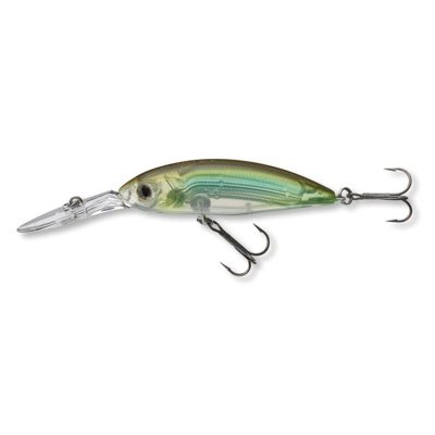 Tournmt-Spike53SP