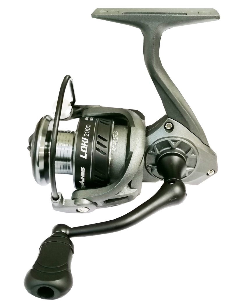 Ritė Loki 3+1 BB - Image 1